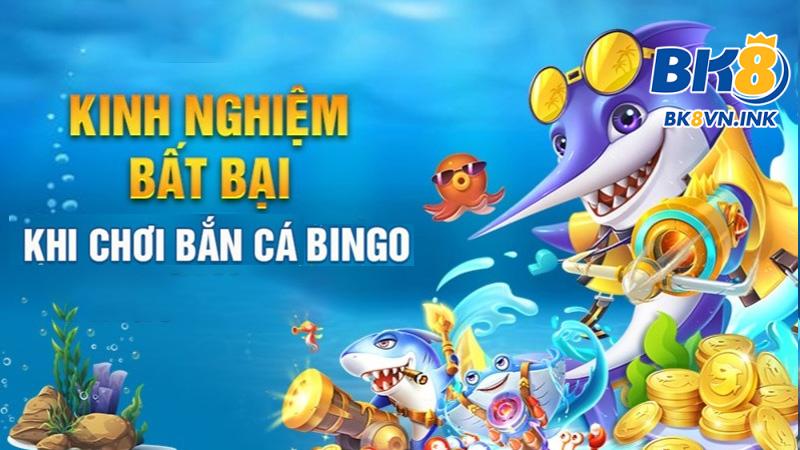 Nhiều kinh nghiệm săn cá bingo đổi thưởng hiệu quả từ chuyên gia