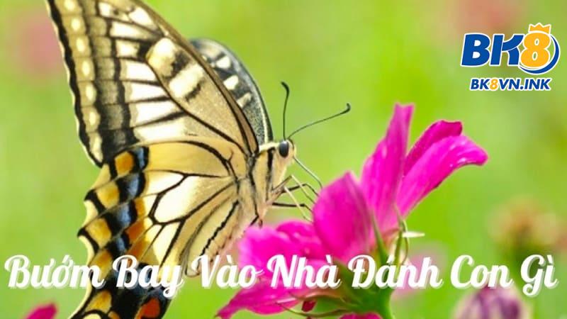 Bướm bay vô nhà thì đánh con bướm số mấy dễ trúng nhất?