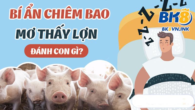 con heo số mấy