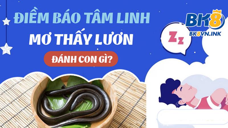 con lươn số mấy