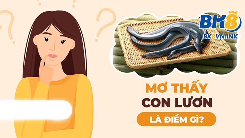 Giải mã điềm báo giấc mơ thấy lươn báo hiệu tốt hay xấu?