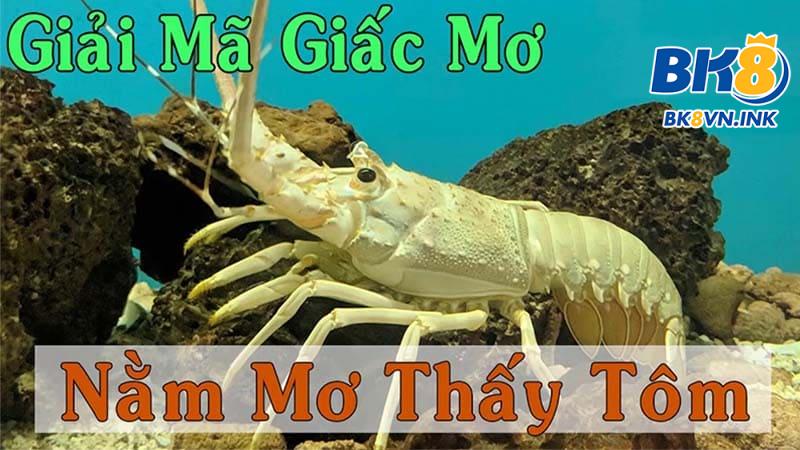 Giải mã chi tiết thông điệp điềm báo giấc mơ thấy tôm trong tương lai