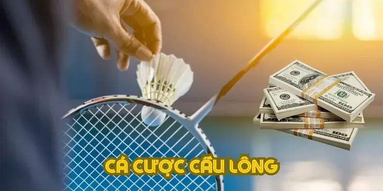 Cách Chơi Cá Cược Cầu Lông Tại BK8: Hướng Dẫn Chi Tiết