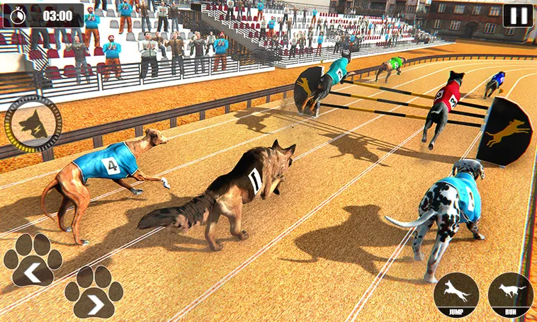 Cách Chơi Game Nhanh Đua Chó Tại BK8 Chuẩn Xác Nhất 2 Cách Chơi Game Nhanh Đua Chó Tại BK8 Chuẩn Xác Nhất