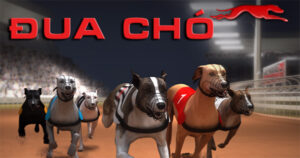 Cách Chơi Game Nhanh Đua Chó Tại BK8 Chuẩn Xác Nhất