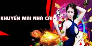 Khám Phá Khuyến Mãi BK8 Hấp Dẫn Dành Cho Cược Thủ